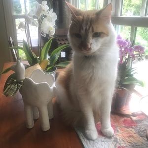 Meet your Posher, Eric